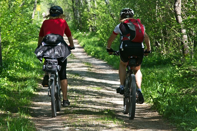 cyklistika v lese
